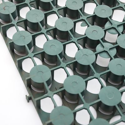 Membrana de fundação de jardim de telhado verde em HDPE para 4 Quantidade por metro quadrado