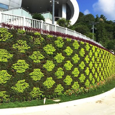 Sistema hidropónico vertical de auto-irrigação de parede verde artificial para projetos de verdura