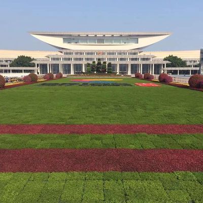 Tabuleiros de telhado verde modernos - a solução definitiva para plantar flores e vegetais