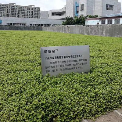 Plantador de flor de jardim de plástico quadrado com material Hdpe e acabamento não revestido