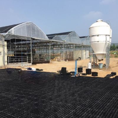Pavimentadores de plástico para o solo Geocell cascalho Paddock Grade Cavalo Erva e casa de campo