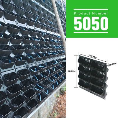 Painel de parede de planta verde de jardim de musgo vertical não revestido Por metro quadrado 4