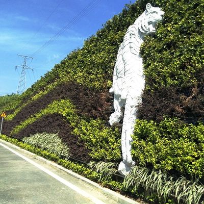 Painel de parede de planta verde de jardim de musgo vertical não revestido Por metro quadrado 4
