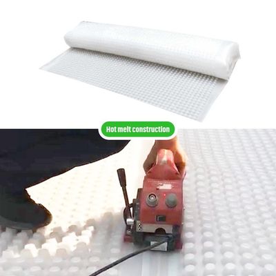 Sistema Modular de Telhado Verde Hdpe Drainagem de Membrana Dimple Mesh Mat Board