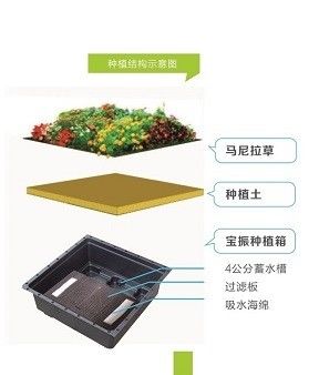 Sistema de bandeja de telhado verde para verdeamento de telhado florestal de jardim decorativo