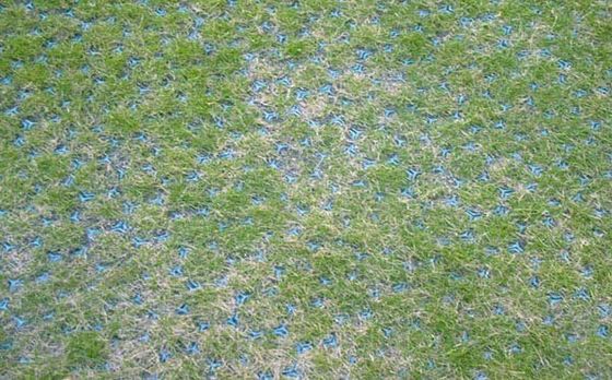 Grelha de cascalho em geocelhas Grelha de pavimentação A solução definitiva para o fortalecimento do solo