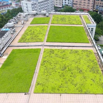Fácil de montar Pato de Flor de Plástico para Decoração e Verdura do Jardim