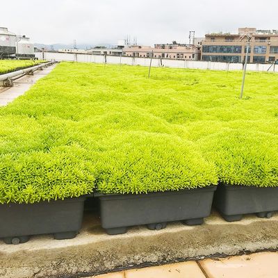 Fácil de montar Pato de Flor de Plástico para Decoração e Verdura do Jardim
