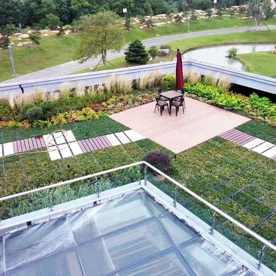 Taça de telhado verde modular para sistemas de plantação que utilizam material plástico de PP sem revestimento