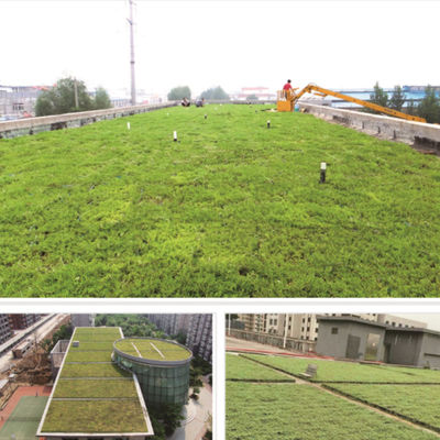 Sistema de bandejas modulares de telhado verde Sedum ecológico para plantação de flores e vegetais