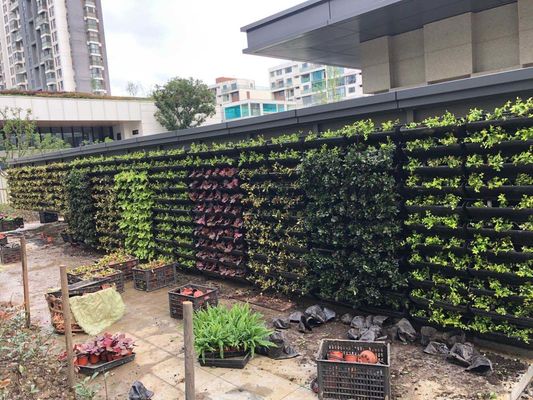 Plantadores de jardim verticais de material plástico para habitação interna