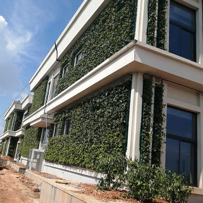 Plantadores de jardim verticais de material plástico para habitação interna