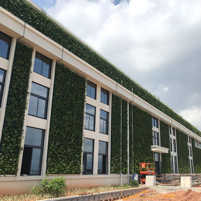 Plantadores de jardim verticais de material plástico para habitação interna