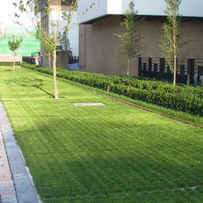 Grades de pavimentação permeáveis de HDPE verde para instalação fácil na calçada do lote de embalagem